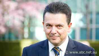 Xenophon threatens political return over ugg boot legal case