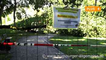 Baum erschlägt Mädchen auf Spielplatz: Trauer und Entsetzen in Augsburg