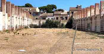 È ancora "incolto" (e fermo): è lo Spazio ai Cantieri alla Zisa che può accogliere grandi eventi - Balarm.it