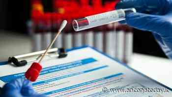 Covid, mercoledì 23 giugno altra giornata senza vittime: totale fermo a 3.034 - AnconaToday