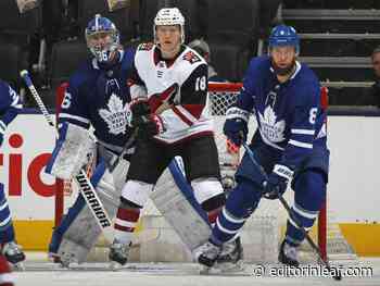 Toronto Maple Leafs Rumoured to Be Interested in Coach Rick Tocchet - Editor in Leaf