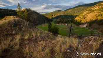 Natural landscapes key to Canadian cities, rural areas for building climate resilience, experts say