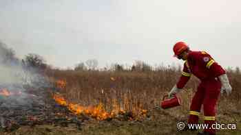 B.C. policy-makers urged to embrace controlled burns to reduce wildfire risk