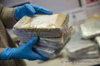 Meer dan 250 kilogram cocaïne gevonden tussen lading limoenen