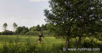 Medieval French Coins Unearthed in Poland? A Mystery Begins