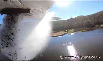 Thousands of juvenile fish are dropped from a plane into Utah lakes [Video]