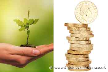 Harrow Council announces street tree sponsorship fees