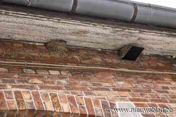 Zwaluwen krijgen subsidies