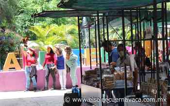 Con optimismo, así vuelve Mercado Verde a Chapultepec - El Sol de Cuernavaca