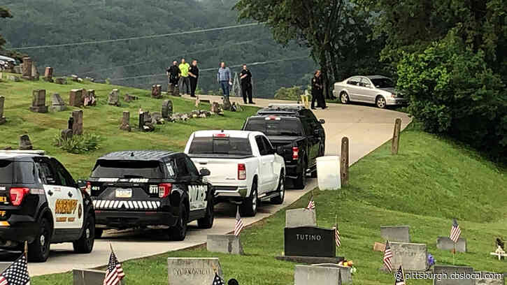 Police Search Cemetery After 4 Puppies Found Inside Abandoned Vehicle