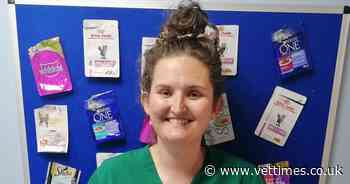VN helps launch 'purrfect' cat food pouch recycling scheme - vet times