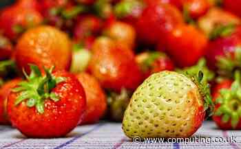 UK government needs to boost cyber security of its food supply chains - www.computing.co.uk