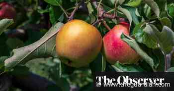 UK food supply chain vulnerable to cyber-attack, expert warns - The Guardian