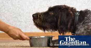Raw dog food ‘may be fuelling spread of antibiotic-resistant bacteria’ - The Guardian