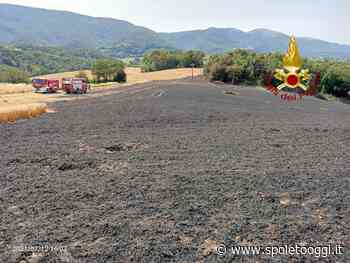 Incendio in un campo di grano aa San Martino in Trignano, ore di lavoro - Spoleto Oggi