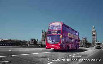 TfL bus service review postponed to avoid 'choking recovery'