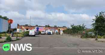 Eigenaar slachthuissite Antwerpen wil replica's maken van de stierenbeelden die er ooit stonden - VRT NWS