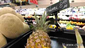 Inuit Tapiriit Kanatami unveils plan to tackle food security 'crisis'