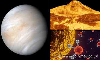 Gas on Venus may actually be produced by volcanoes, study says