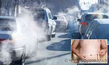 Children in areas with high levels of air pollution, noise and traffic are more likely to be OBESE