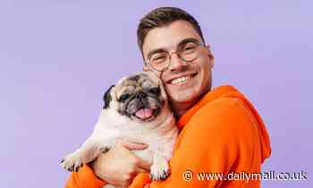 Pets: Dogs get humans in a way their relatives like wolves don't, study finds