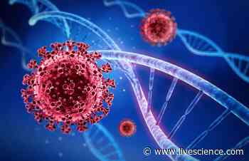 Woman develops rare 'coinfection' with two coronavirus variants - Livescience.com