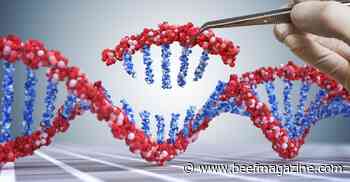 Regulatory changes needed for gene-edited animals