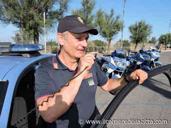 Ardea, rocambolesco inseguimento in moto: nei guai 23enne bosniaco - Il Corriere della Città