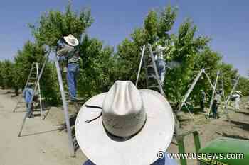 Pesticide Caused Kids' Brain Damage, California Lawsuits Say