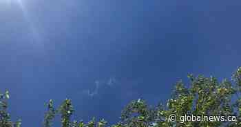 Edmonton, parts of northern and southern Alberta under 3rd heat warning of the month