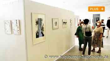 Von aberwitzig bis bierernst: Was die 35. Grafikausstellung zu bieten hat - Augsburger Allgemeine