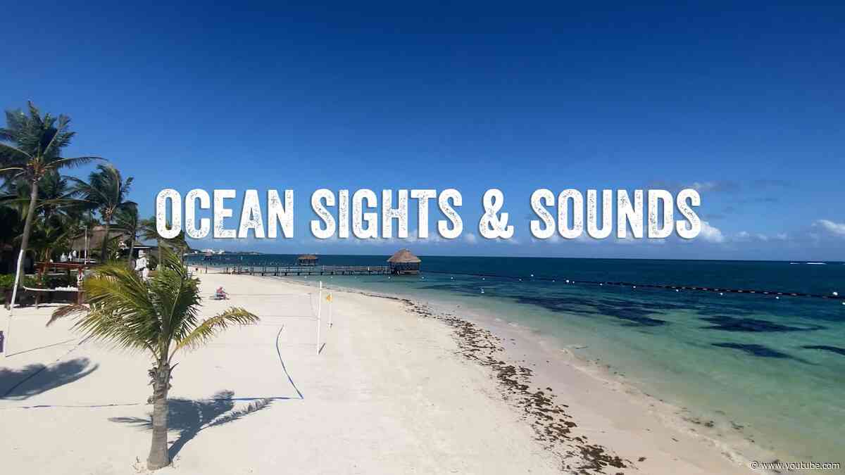 4 Minutes Of Relaxing Ocean Sights + Sounds