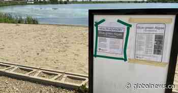 More blue-green algae blooms in Alberta after record heat