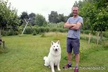 In de tuin van Tim (40) is iedereen welkom om een nachtje gratis te kamperen