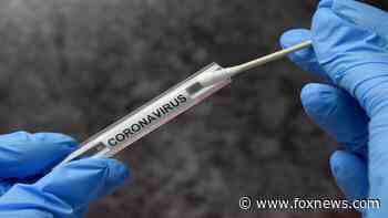 New coronavirus variants seen as too contagious for hotel quarantines - Fox News