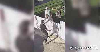 Neighbour dispute in Pincher Creek leads to assault, mischief charges