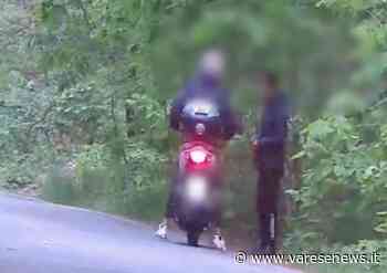 Samarate Nei boschi di Samarate tra spacciatori senza nome, donne disperate e tanti soldi - varesenews.it