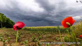 Klimawandel: Mit "Fit for 55" startet Europa seine neue Klimaoffensive