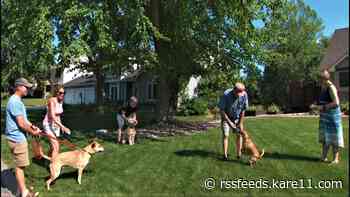 Twin Cities lawn becomes hound central station, as dogs pull their humans to their favorite destination