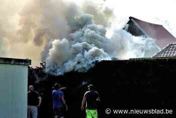 Enorme rookontwikkeling door brandende haag: “Typisch voor dit soort branden” - Het Nieuwsblad