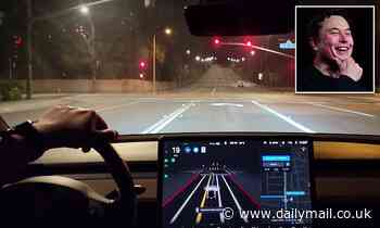 Elon Musk warns Tesla drivers to 'be paranoid' about safety when using new Full Self-Driving 9 beta