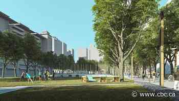 Trees cut down at Eau Claire Plaza could be back as furniture