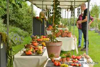 Tomatenfestival met 200 rassen