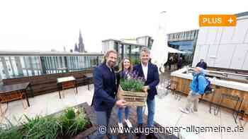 Sedelhöfe-Hotel: "Ulms neues Wohnzimmer" hat jetzt eröffnet