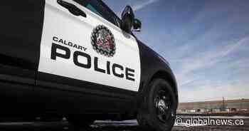 Suspect arrested after vehicle mirrors smashed in Calgary’s Mission neighbourhood