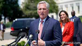McCarthy: Critical race theory 'goes against everything Martin Luther King Jr. taught us'