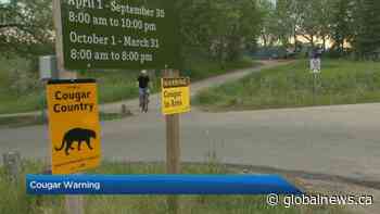 Alberta Parks issues cougar warning for Fish Creek Park