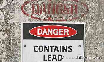 Exposure to lead in childhood can affect your personality, study warns 