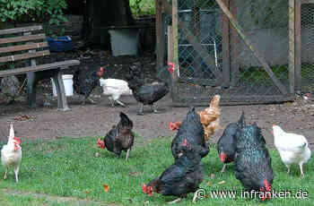 Diakonie Bamberg-Forchheim: Zwei Projekte mit dem Bayerischen Demenzpreis ausgezeichnet