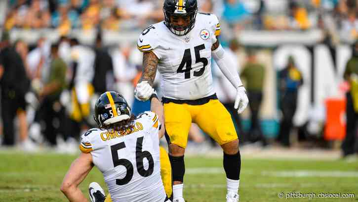 Former Pittsburgh Steelers Anthony Chickillo, Roosevelt Nix Retiring
